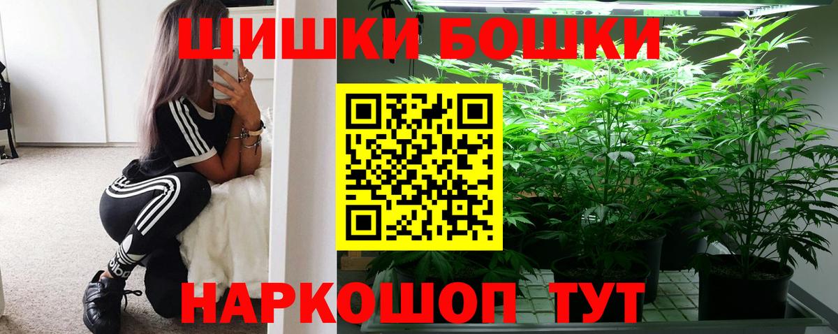 Марихуана сатива Ярославль